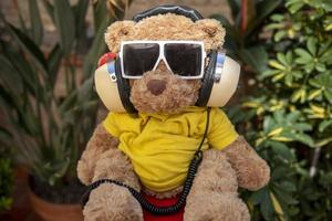 teddy bear with sunglasses in a garden photo