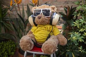 teddy bear with sunglasses in a garden photo