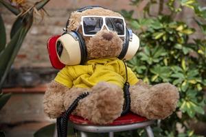 teddy bear with sunglasses in a garden photo