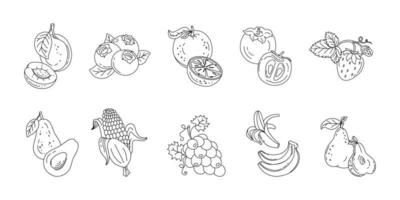 Fruits and berries doodle set Vector black and white illustration isolated on a white background