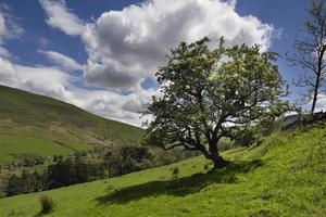 welsh countryside in the brecon beacons photo