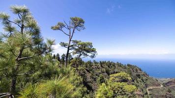 een timelapse visie van de kust van la palma in de kanarie eilanden met bomen en Woud video