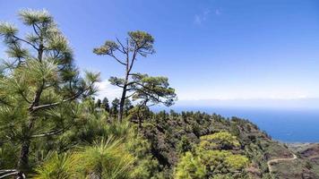 un' lasso di tempo Visualizza di il costa di la palma nel il canarino isole con alberi e foresta video