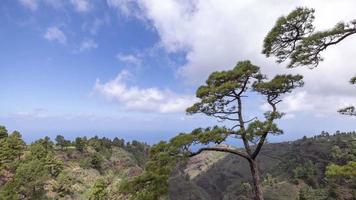 une laps de temps vue de le côte de la palma dans le canari îles avec des arbres et forêt video