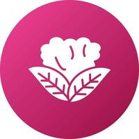 Cauliflower Icon Style vector