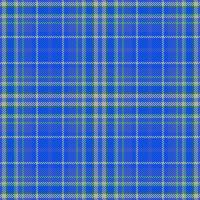 Textile texture vector. Background fabric check. Tartan seamless plaid pattern. vector