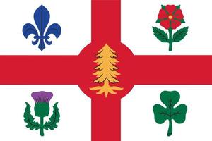 Simple flag of City of Canada vector