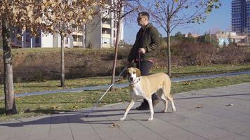 Blind Mens wandelen met zijn hond in de park. de Blind Mens is wandelen in de park met zijn hond. de schattig hond begeleidt hem. de Blind Mens heeft een riet in zijn hand. video