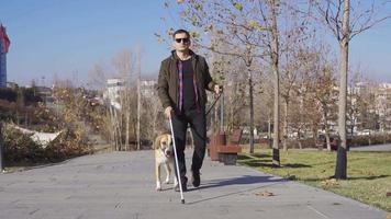 ciego hombre caminando con su perro en el parque. ciego hombre caminando con su perro en el parque. él tiene un caminando palo. video