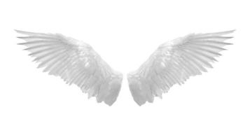 Angel wings isolated on white background photo