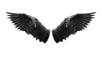 Angel wings isolated on white background photo
