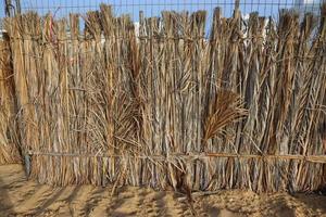 Dry natural palm leaves fence,background texyure photo