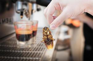 Woman's Hand holding cockroach on coffee machine fresh background, eliminate cockroach in coffee shop and kitchen photo