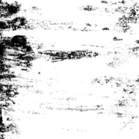 Rustic grunge texture with grain and stains. Abstract noise background. PNG graphic illustration with transparent background.