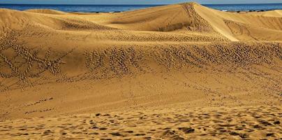 Scenic desert landscape photo