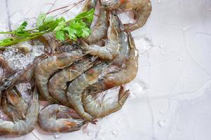 Raw shrimps prawns on ice in white plate, Fresh shrimp seafood , white shrimp photo