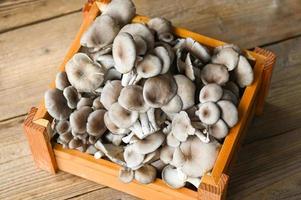 Fresco gris ostra seta en de madera caja fondo, Fresco crudo ostra seta para Cocinando comida foto