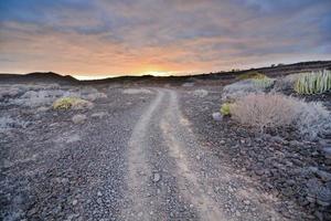 Road through the scenic landscape photo