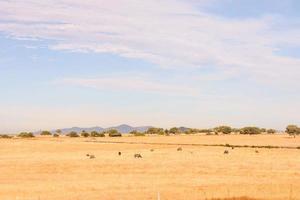 Scenic rural landscape photo