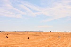 Scenic rural landscape photo