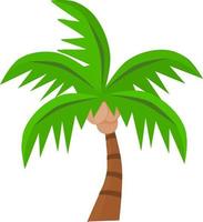 Palm tree drawing vector art. Vector illustration. Tropical summer tree. Coconut tree.