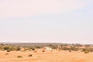 Scenic rural landscape photo