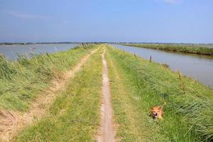 Scenic rural landscape photo