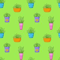Seamless pattern with different cactus, succulent plant in bright flower pot. Cartoon Cacti. Hand drawing background with houseplants. Vector illustration on green background