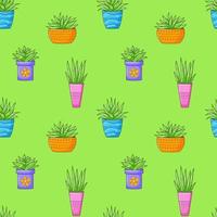 Seamless pattern with different cactus, succulent plant in bright flower pot. Cartoon Cacti. Hand drawing background with houseplants. Vector illustration on green background