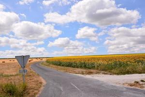 Scenic rural landscape photo