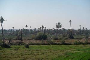 escénico rural paisaje foto