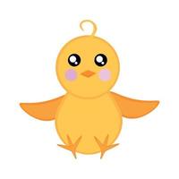 Chicken sits with spread wings vector