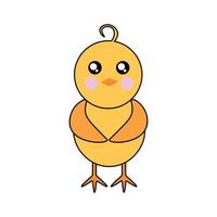 Cute chick on a white background vector