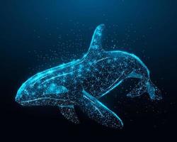 Killer whale. Wireframe glowing low poly Orca whale. Design on dark blue background. Abstract futuristic vector illustration.