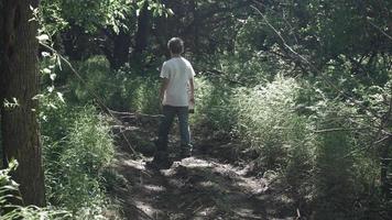 Jeune homme, adolescent garçon, randonnée, marche, dans les bois dans lent mouvement video