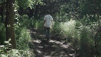 adolescente garoto, jovem homem caminhando dentro lento movimento dentro floresta árvores, bosques, adolescente video