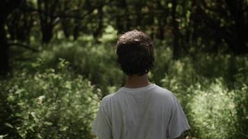 giovane uomo a piedi nel foresta alberi, boschi video