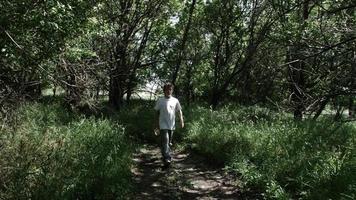 giovane uomo, adolescenziale ragazzo a piedi nel boschi, foresta, adolescente video