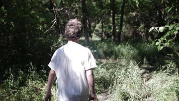 adolescente chico, joven hombre caminando en lento movimiento en bosque árboles, bosque, adolescente video