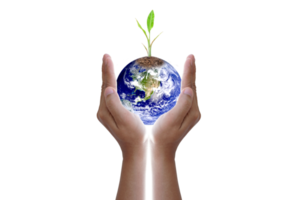 World Environment Day. Earth and trees in human hands. png