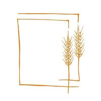 Wreath frame from ears of wheat.A bunch of ears of wheat,dried whole grains.Cereal harvest,agriculture,organic farming,healthy food symbol.Ears of wheat hand drawn.Design element. Isolated background vector