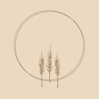 Wreath frame from ears of wheat.A bunch of ears of wheat,dried whole grains.Cereal harvest,agriculture,organic farming,healthy food symbol.Ears of wheat hand drawn.Design element. Vector