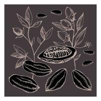 Cocoa set. Hand drawn sketch vector Cocoa beans, leaves sketch and Cocoa tree. Organic product. Doodle sketch . Design element