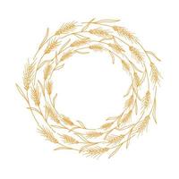 Wreath frame from ears of wheat.A bunch of ears of wheat,dried whole grains.Cereal harvest,agriculture,organic farming,healthy food symbol.Ears of wheat hand drawn.Design element. Isolated background vector