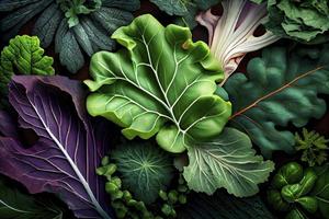 Leaves of different types of kale cabbage top view background photo