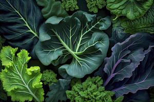 Leaves of different types of kale cabbage top view background photo