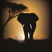 elephant silhouette AI Generated photo