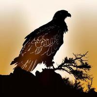 eagle silhouette AI Generated photo