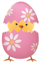 Chick in broken Easter egg with flower png