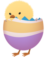 Chick in broken Easter egg with stripe lower part png